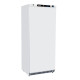 Blizzard LW60 600ltr Upright Storage Freezer