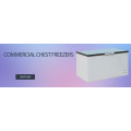 Commercial Chest Freezers