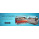 Display Freezers