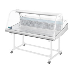 Polar GE961 Fish Display Serve Over Counter Fridge 255Ltr